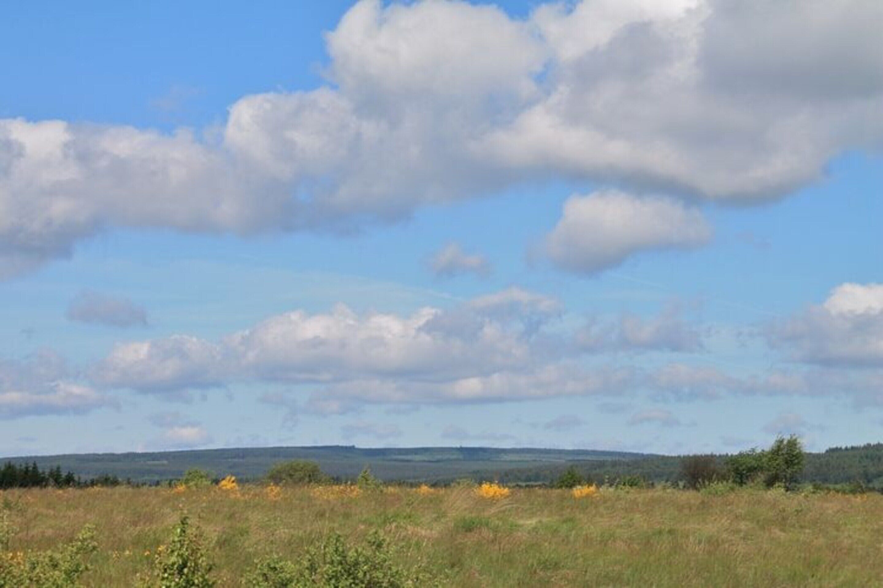 Un vaste champ à perte de vue, sous un ciel dégagé, avec des collines qui se dessinent à l’horizon.
