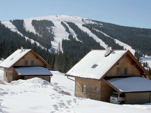 Exterior - Beautiful Holiday Home in Weinebene With Sauna (Frantschach-Sankt Gertraud)