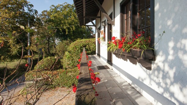 A building with a covered porch, potted plants, and a pathway leading to the entrance. - Hillside Stay Near Coo Fall (Stavelot)