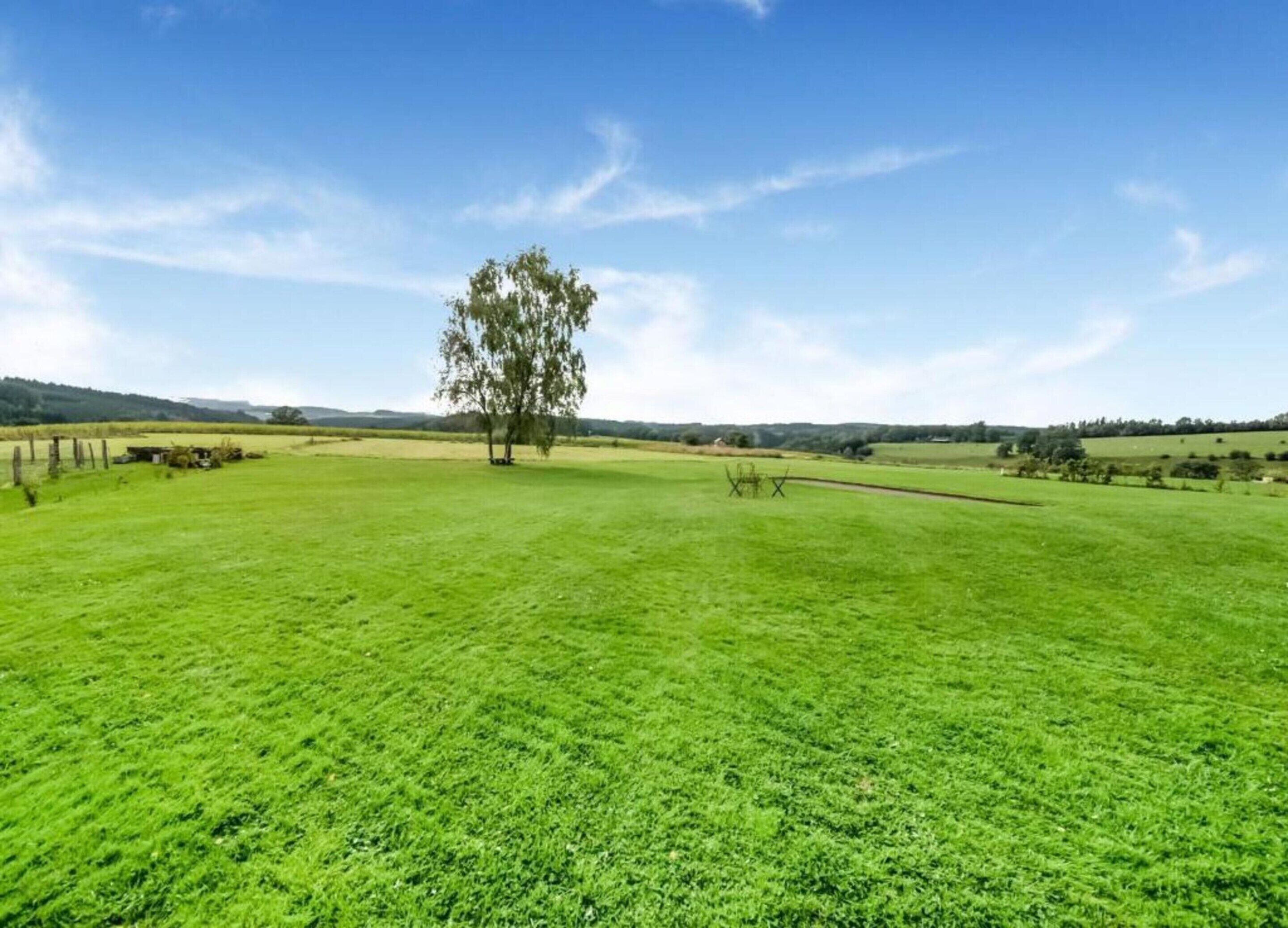 A wide-open grassy field with a single tree in the center, surrounded by a fence and a clear blue sky.