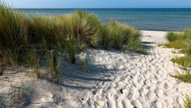Een zanderig strand met hoge grassen en een helderblauwe lucht.