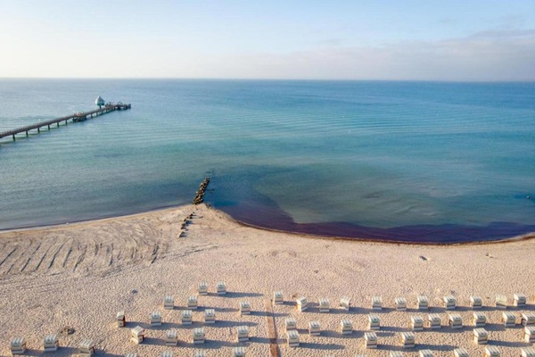 Căn hộ | Quang cảnh nhìn từ nơi lưu trú