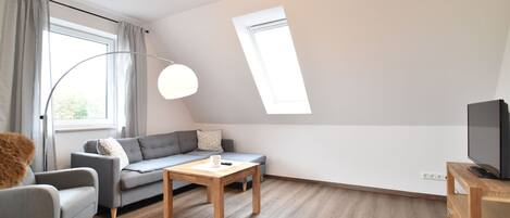 公寓 | 起居区 | 电视