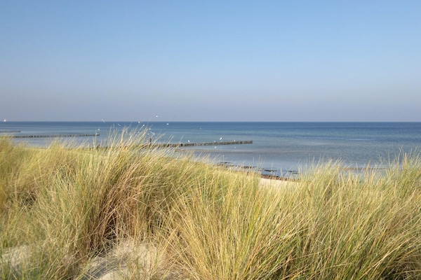 Apartment | Blick von der Unterkunft