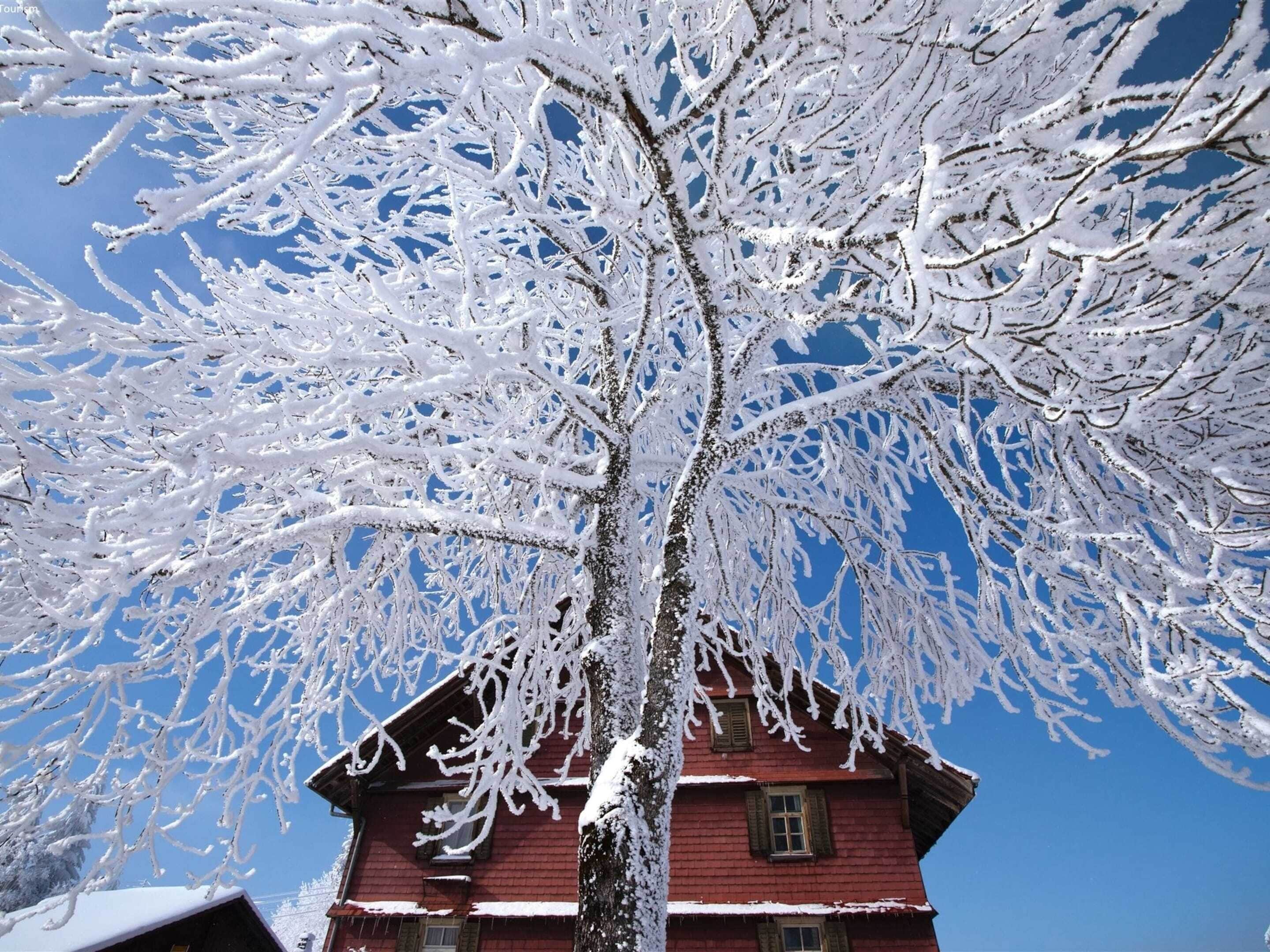 Ein rotes Gebäude mit schneebedeckten Ästen vor blauem Himmel.