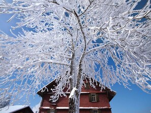 A red building with snow-covered branches against a clear blue sky. - Apartment Near Pizol (Landquart)