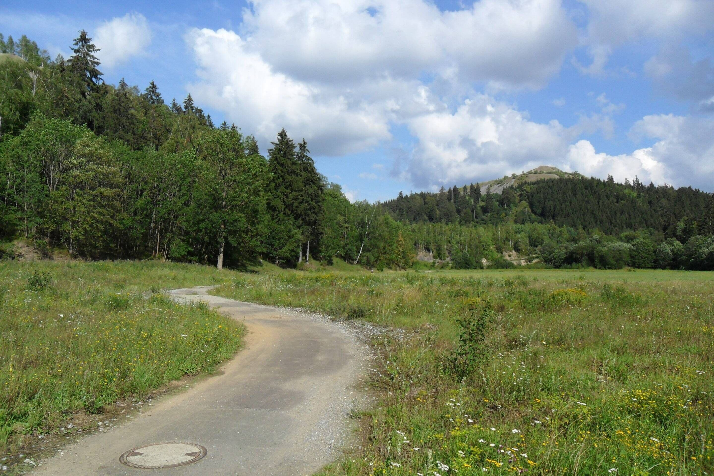 Une route de campagne sinueuse qui traverse une zone boisée, avec une colline en arrière-plan.