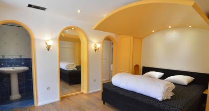 Luxurious Country House