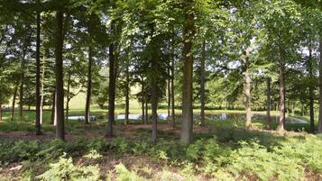 House | View from property