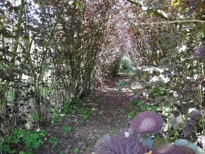 Villa | Exterior - Beautiful Villa for Groups With Swimming Pool, Sauna and Wifi (Zottegem)