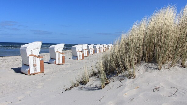 A beach with rows of white beach chairs and a tall grass area. - Holiday House on the Island of Poel (Insel Poel)