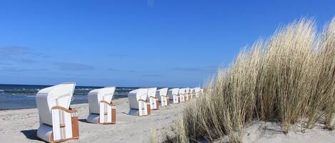 Vista desde la propiedad