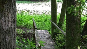 A wooden bridge over a small stream surrounded by trees and greenery.