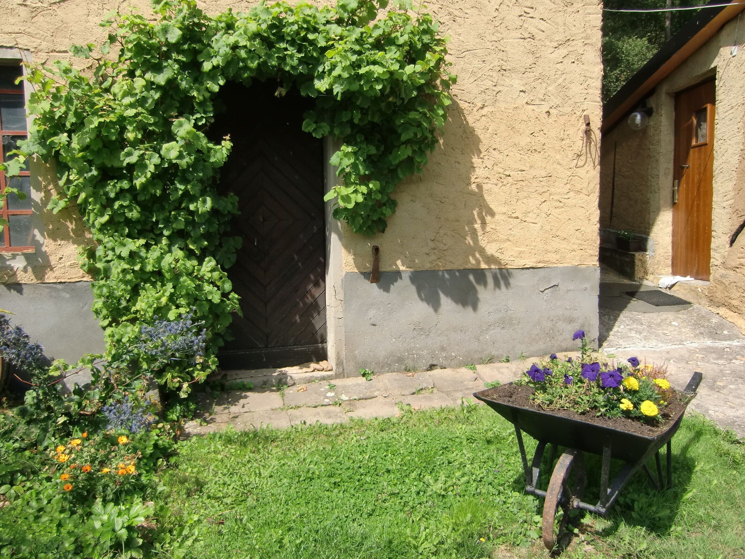 A rustic building with a wooden door, a garden with various plants, and a wheelbarrow with flowers.