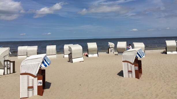 Beach chairs numbered 78, 43, 53, 55, and 65, arranged on a sandy beach with the ocean in the background. - Sleep Under a Thatched Roof - Apartment in Ahlbeck near Haff (Ahlbeck)