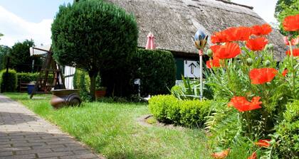 Sleep Under a Thatched Roof - Apartment in Ahlbeck near Haff