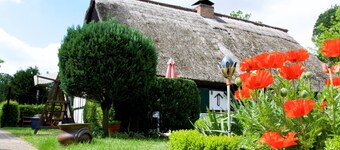 Sleep Under a Thatched Roof - Apartment in Ahlbeck near Haff