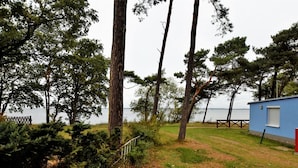 A small blue cabin with a grassy yard and trees, overlooking a body of water. - Holiday Home in Am Salzhaff (Am Salzhaff)