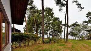 A wooden deck leading to a house with a view of a grassy area and tall trees. - Holiday Home in Am Salzhaff (Am Salzhaff)