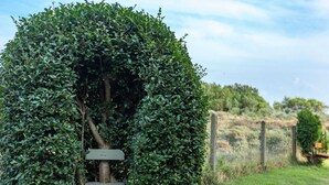 A well-maintained hedge with a wooden signpost in the center.
