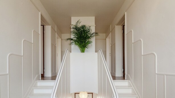 A staircase with white railings and a potted plant at the top.