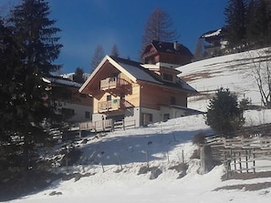 Exterior - Modern Chalet With Sauna Near Ski Area in Carinthia (Bad Kleinkirchheim)