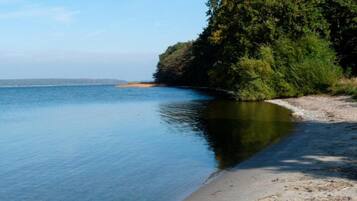 A calm lake with clear water, surrounded by trees and a sandy beach.