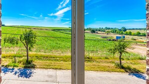A view through a window with a metal frame, revealing a vineyard and a clear blue sky. - Villa in Former School (Heers)