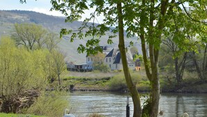 A serene riverside scene with swans on the grass and houses in the background. - Classy Holiday Home in Rzig near Forest (Uerzig)