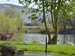 House | View from property