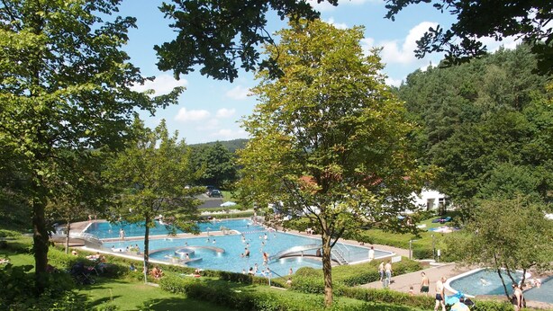Une grande piscine extérieure entourée d’une végétation luxuriante et d’arbres.
