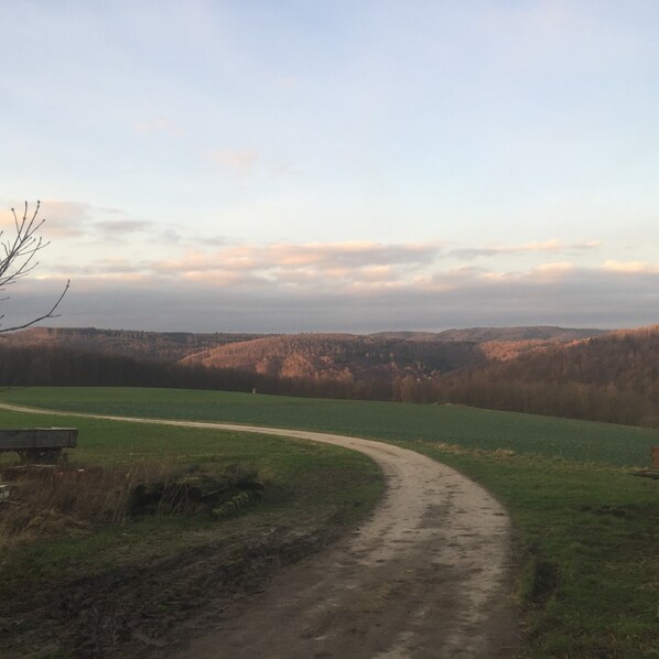 A rural landscape with a dirt path curving through a green field, leading to a hilly area in the distance.