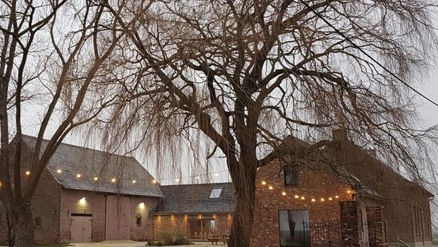 A rustic building with brick walls and a large tree in front. - Mansion in Roesbrugge With Garden (Poperinge)