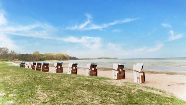 A row of beachside beach chairs with a view of the sea and a clear sky. - Spacious Holiday Home in Landstorf Zierow near Beach (Zierow)