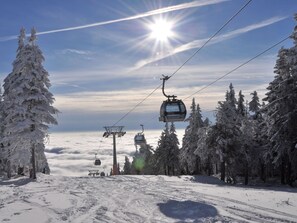 House | View from property - Holiday Home With a Convenient Location in the Giant Mountains for Summer & Winter (Rudník)