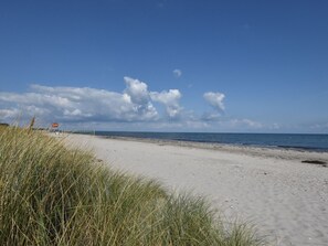 House | View from property - Exquisite Mansion in Pugholz near Sea (Hasselberg)