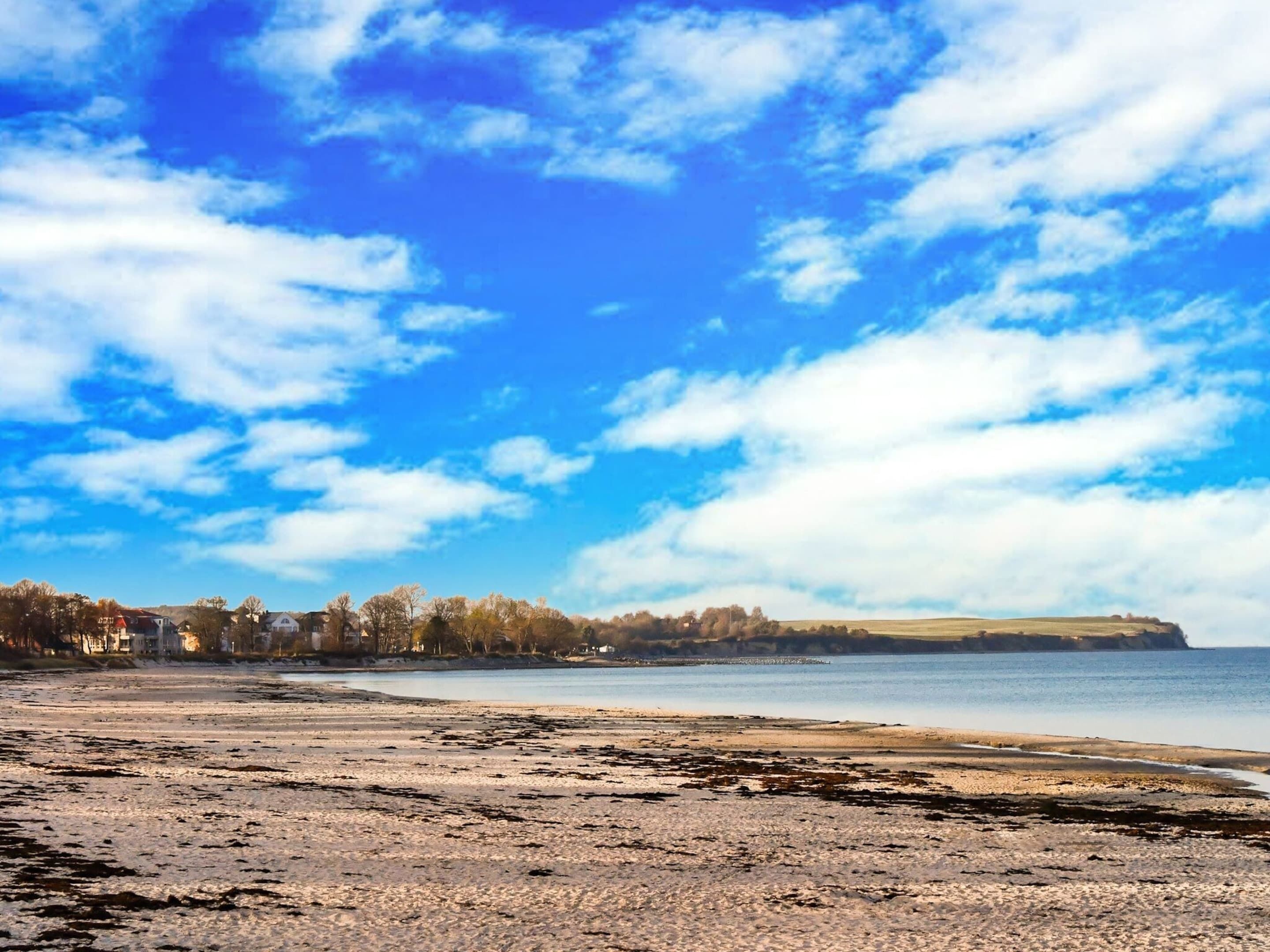 A beach with a clear sky and distant trees.