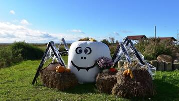 Apartment | Blick von der Unterkunft