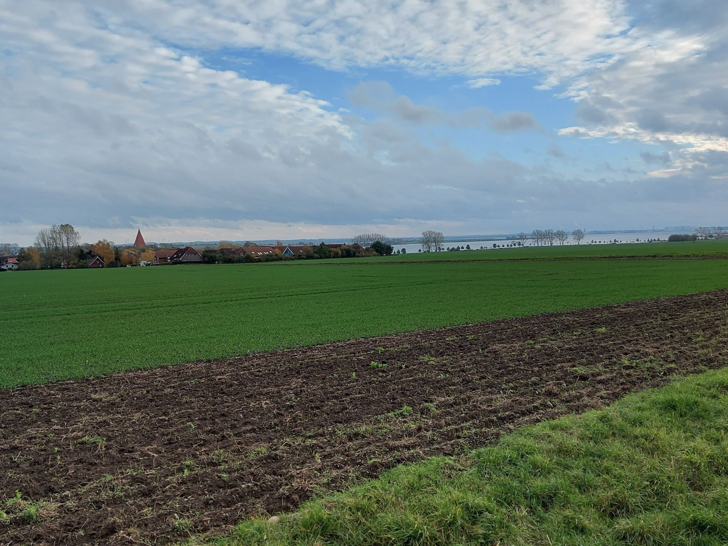 Un paisaje rural con un extenso campo verde, una sección arada y una hilera de casas con el campanario de una iglesia al fondo.