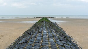 Un sentier de pierres menant à une digue rocheuse sur une plage.