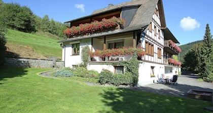 Lovely Apartment in Oberkirchen near Golfing & Horse Riding