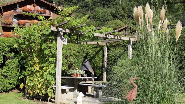 Une pergola rustique en bois, agrémentée d’un banc en pierre et d’une nichoir, est entourée d’une végétation luxuriante et d’une grande plante ornementale.