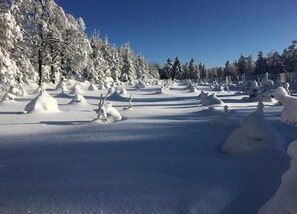 Maison | Vue depuis l’hébergement 