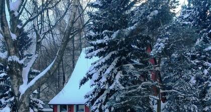 House in Bohemian Near Ski Slope