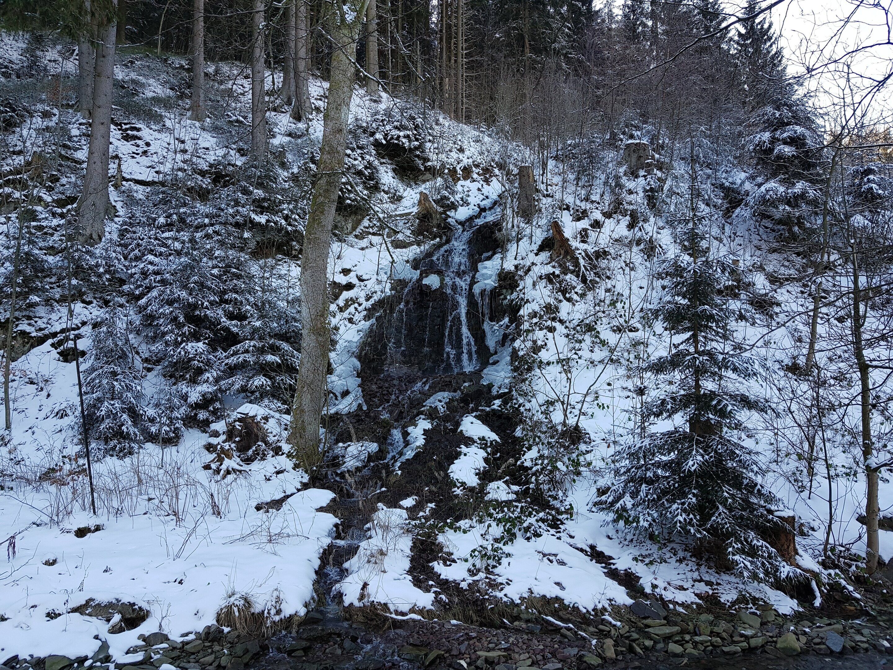 A snowy forest scene with a waterfall.