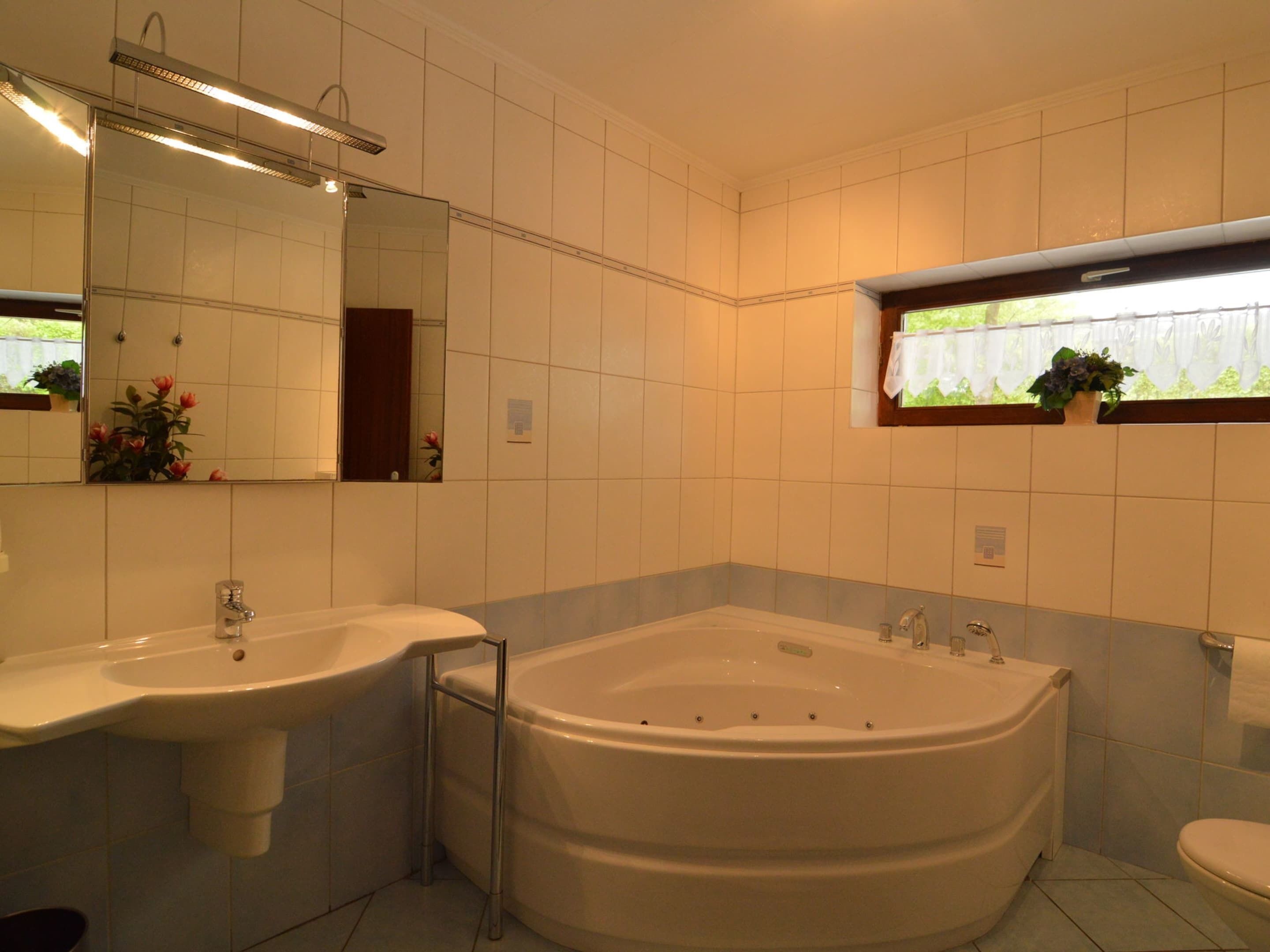 Un baño con una bañera grande, un lavamanos, un espejo y una ventana con una planta.