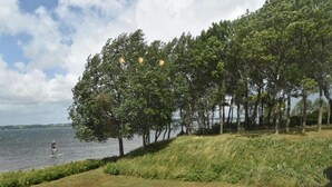 A grassy area with trees and a body of water.