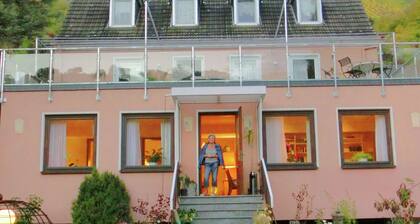 Amazing Holiday Home Directly on the Rhine With Roof Terrace and a Large Garden