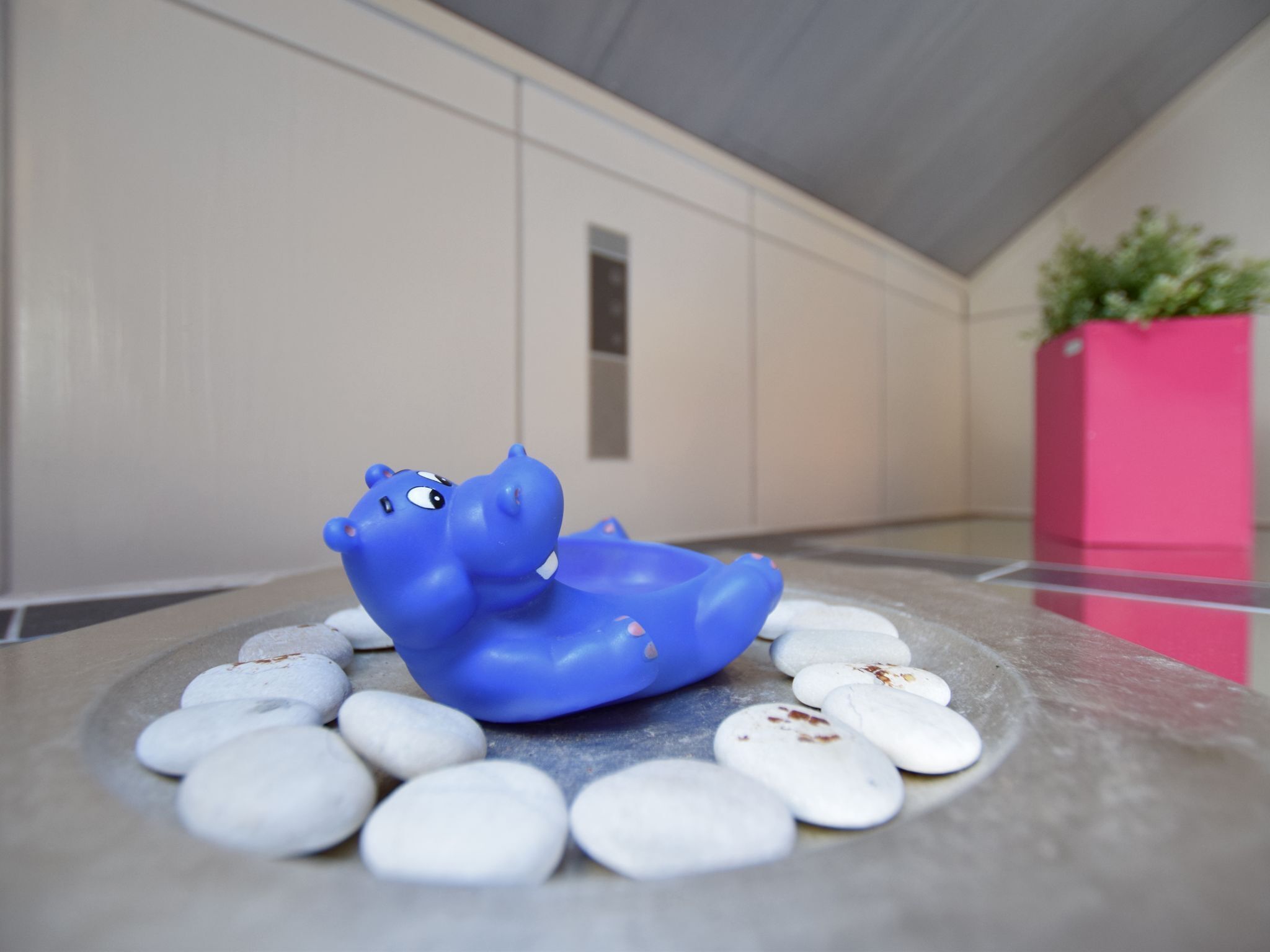 5 habitaciones y muebles diferentes 