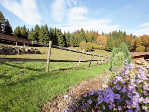 Apartment | Exterior - Ferienwohnung im Schwarzwald mit Garten (Dachsberg)